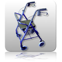 EcommerceImages/WalkerHandBrake.jpg
