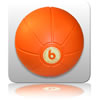 Live Medicine Ball 6.0kg
