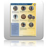 Chart - Lifting & Manual Handling