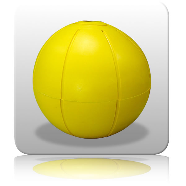 Live Medicine Ball 4.0kg